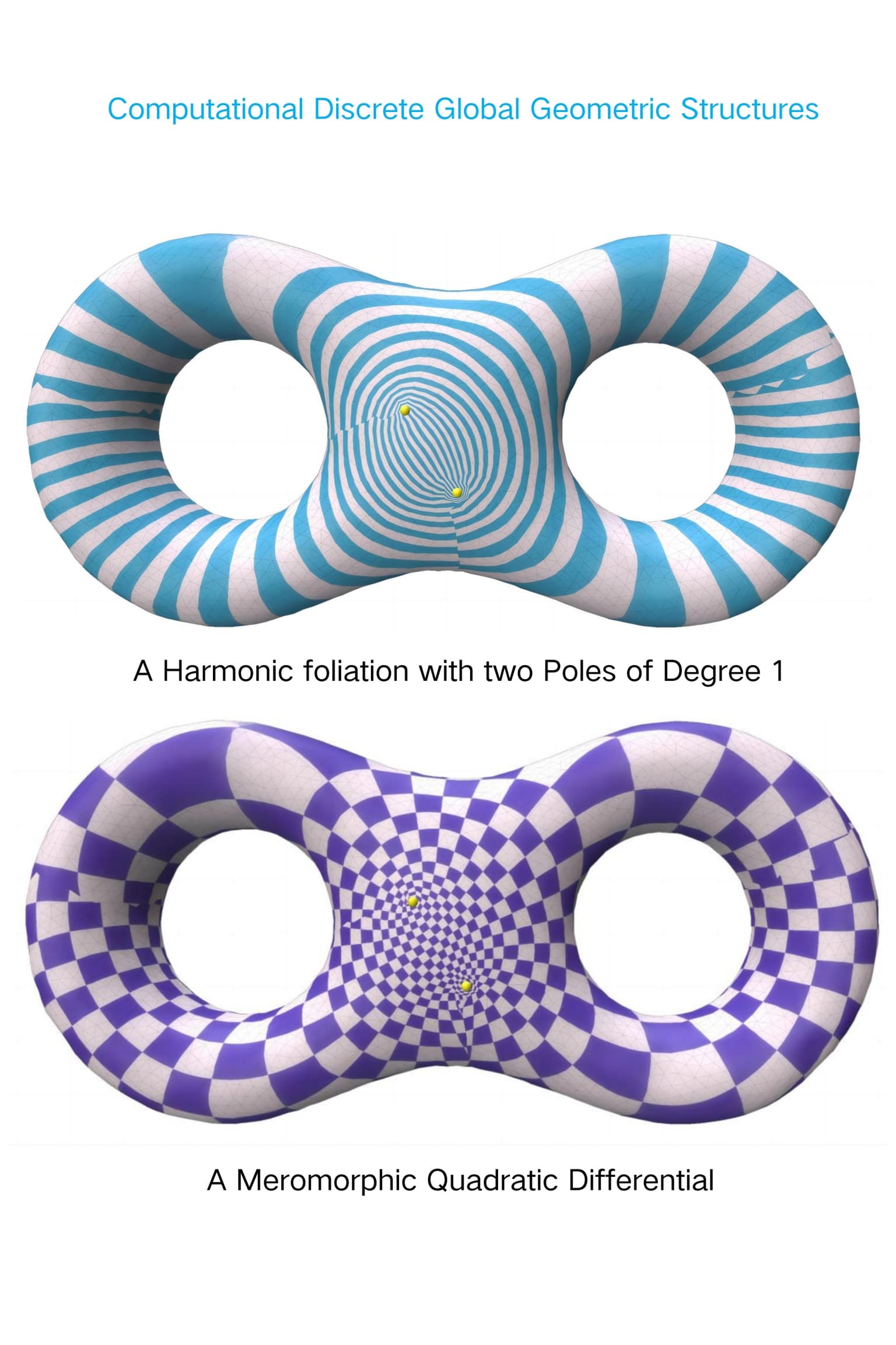 Image for The Computational Harmonic foliation and Holomorphic Quadratic Differential