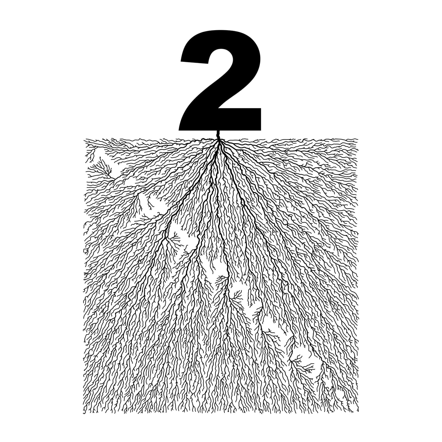 Image for submission 'David A. Reimann'