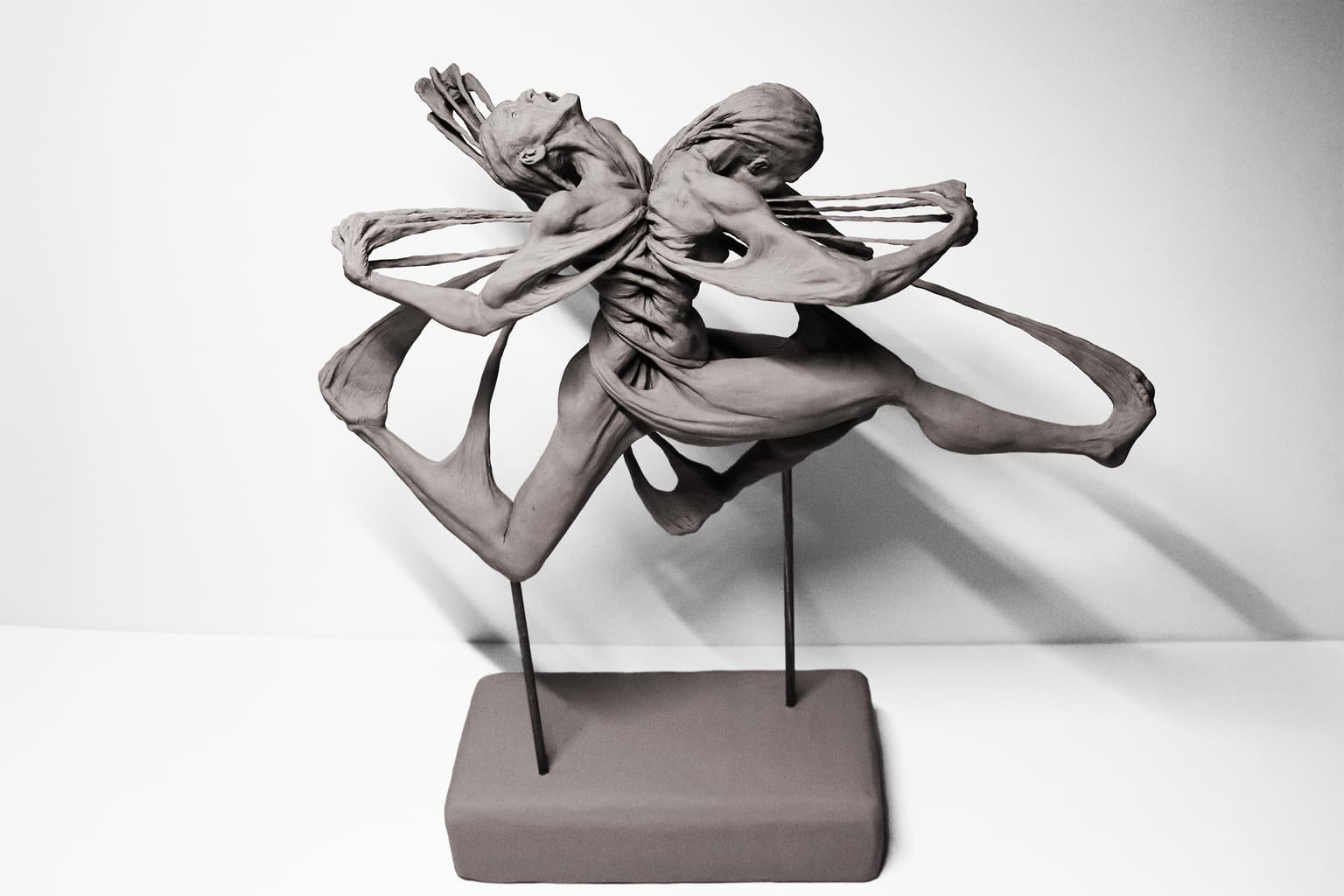 Image for submission 'Eva Smerekanych'