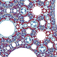 Image for submission 'Eric Vergo'