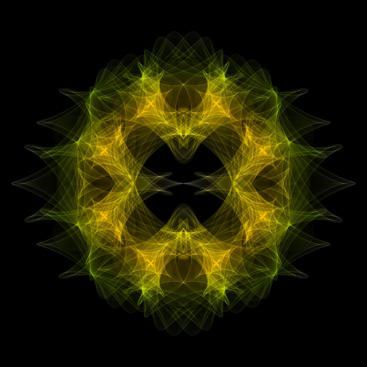 Image for entry 'Four rose curves and a circle'