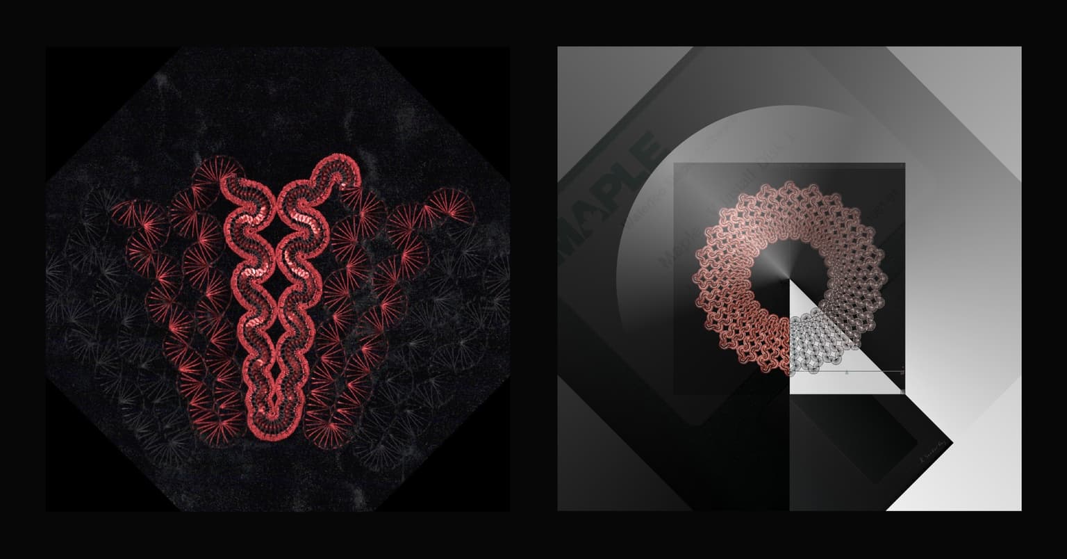 Image for entry 'Crocheted Squiggle and Manipulation: Maple-Specific'