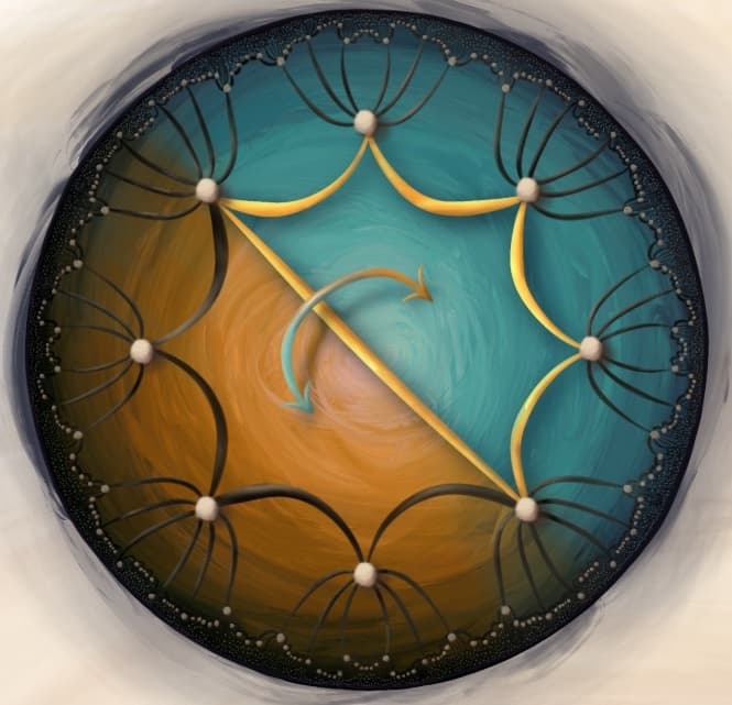 Image for submission 'Elliot Kienzle'