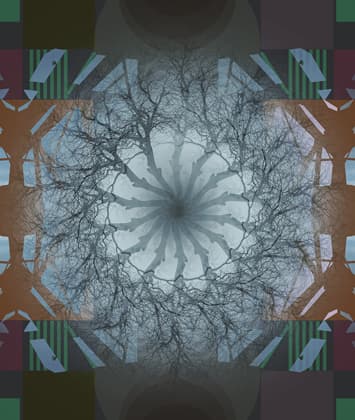 Image for submission 'Erika Balogh'