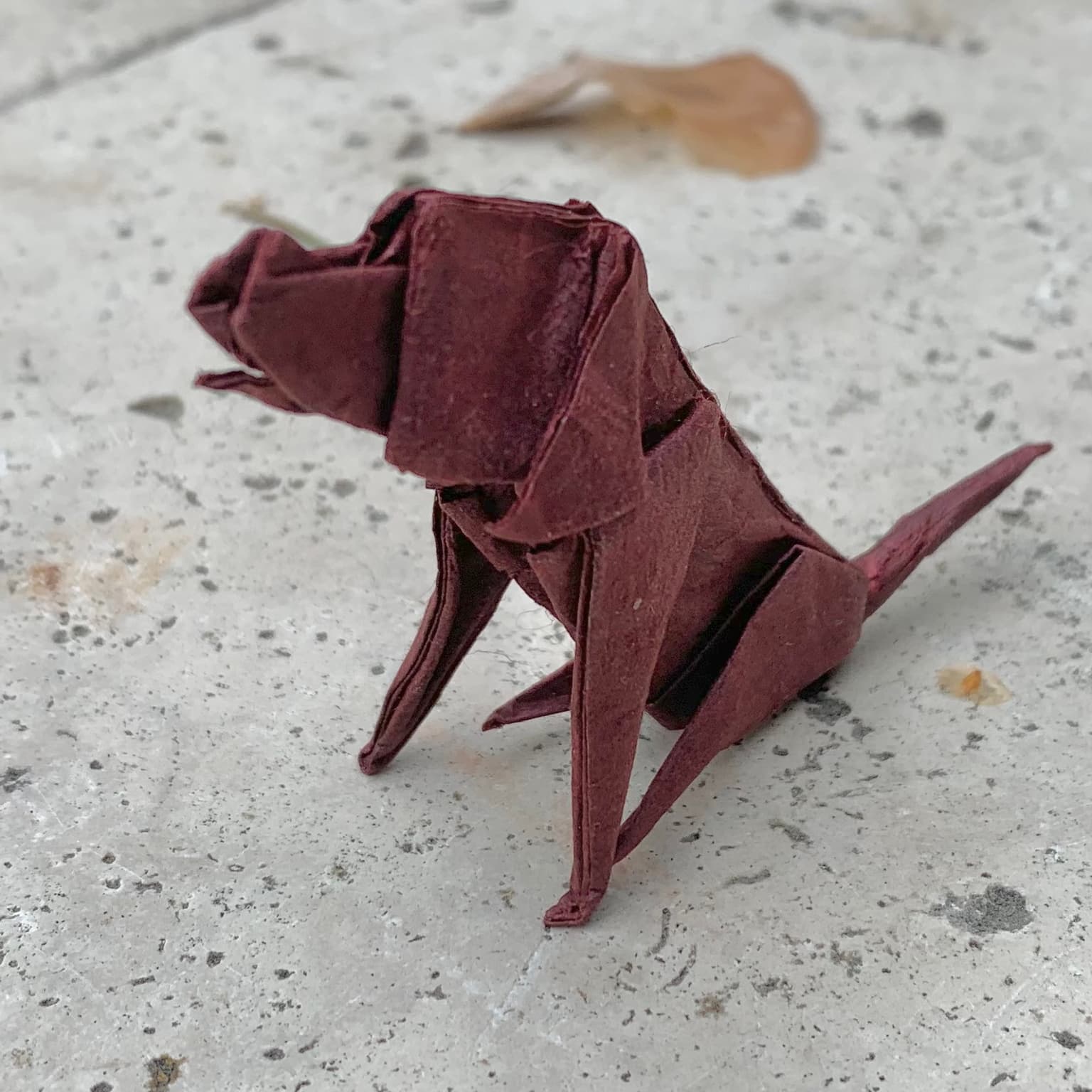 Image for entry 'Puppy'