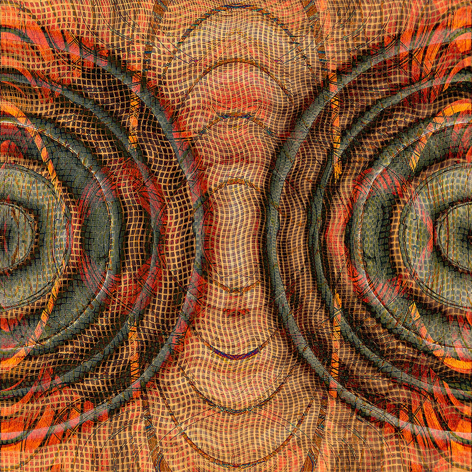 Image for entry 'The Strong Force'