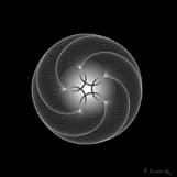 Image for submission 'Rashmi Sunder-Raj'