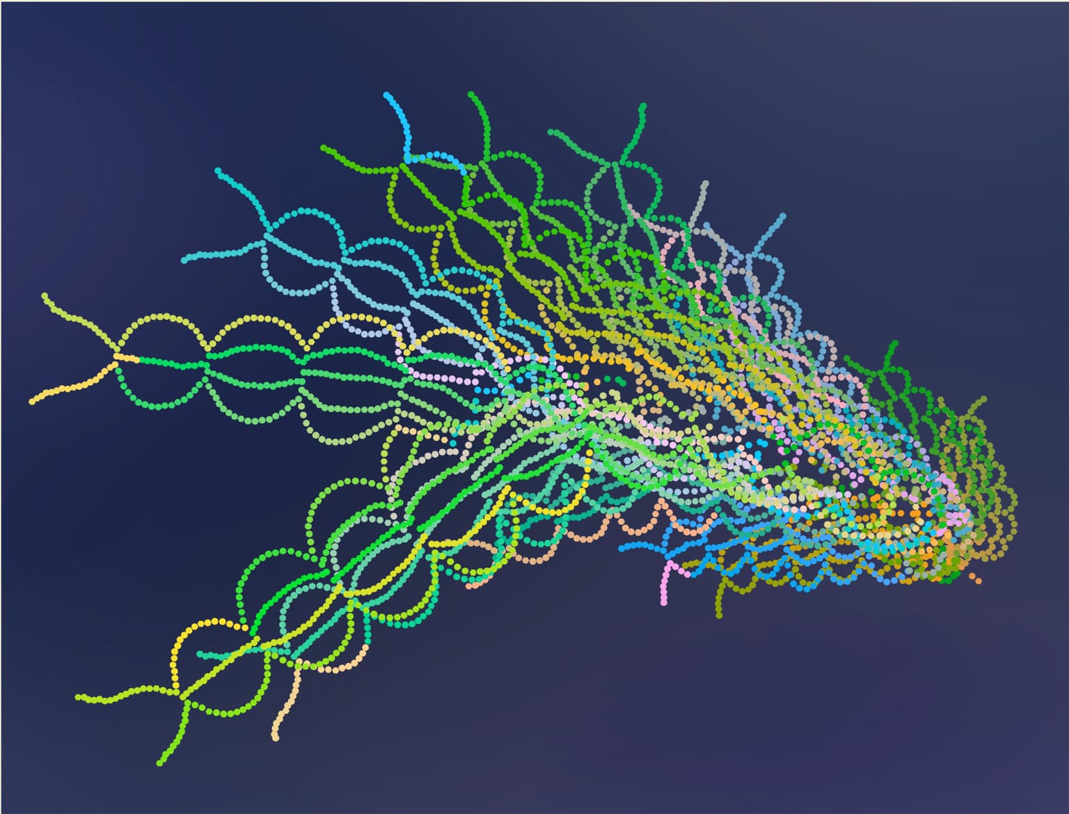 Image for entry 'Squid'