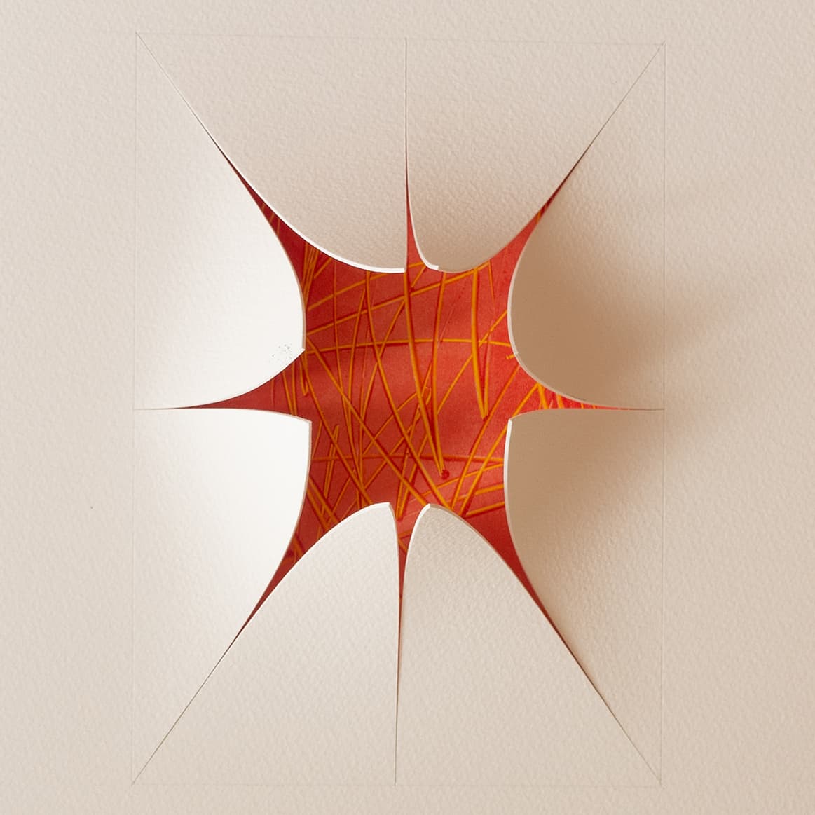 Image for submission 'Elizabeth Whiteley'