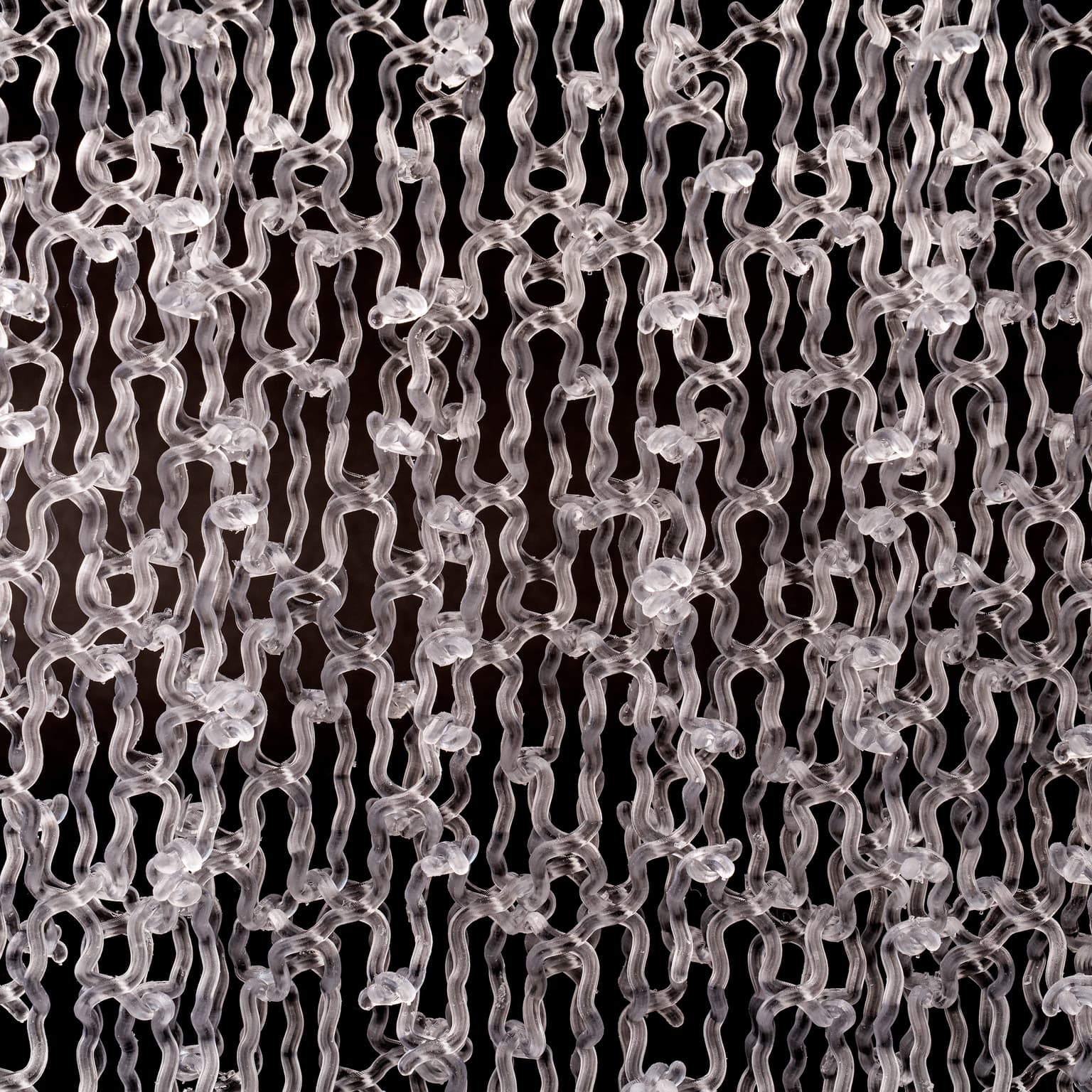 Image for entry 'Quasi Coral'