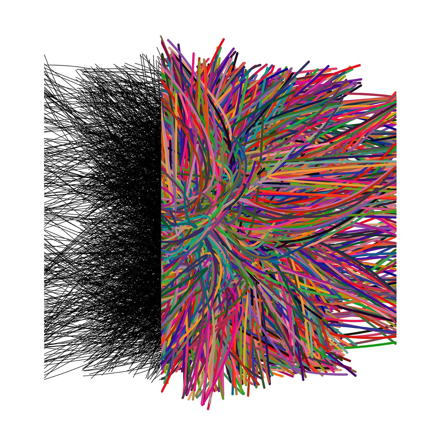 Image for entry 'Color Code, Black, and White 01'