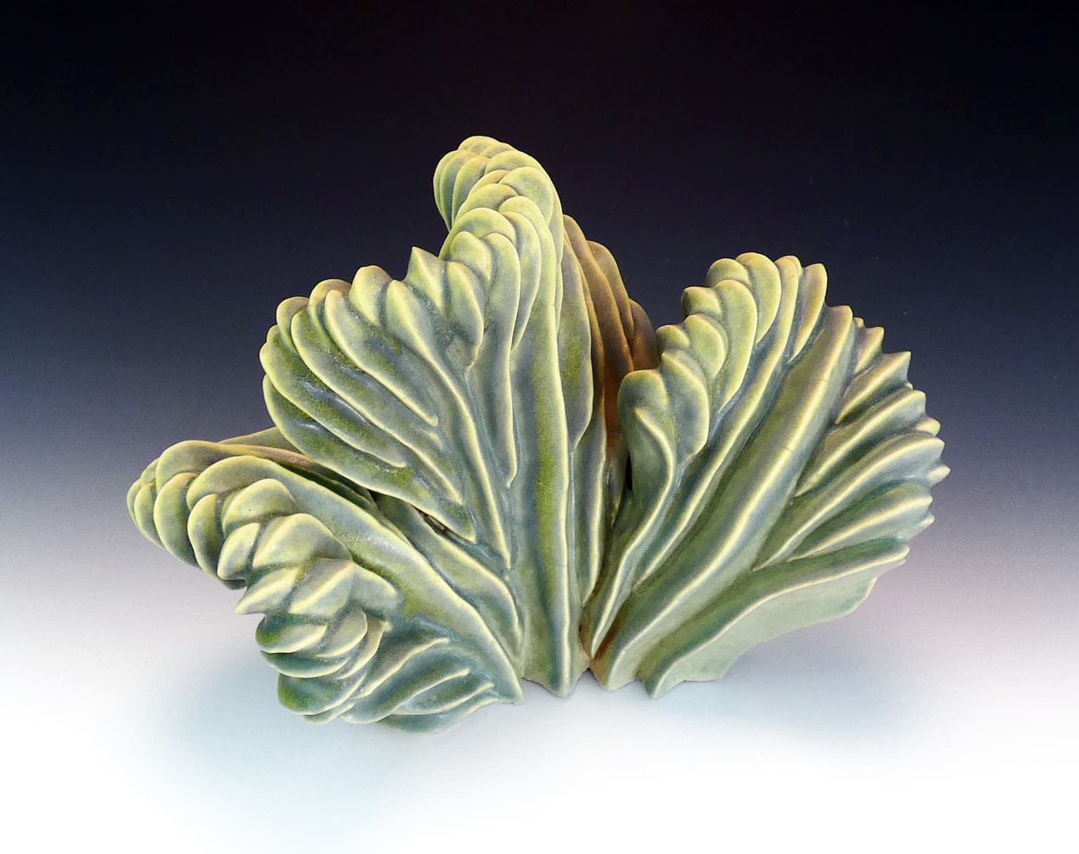 Image for entry 'Cristate Form'