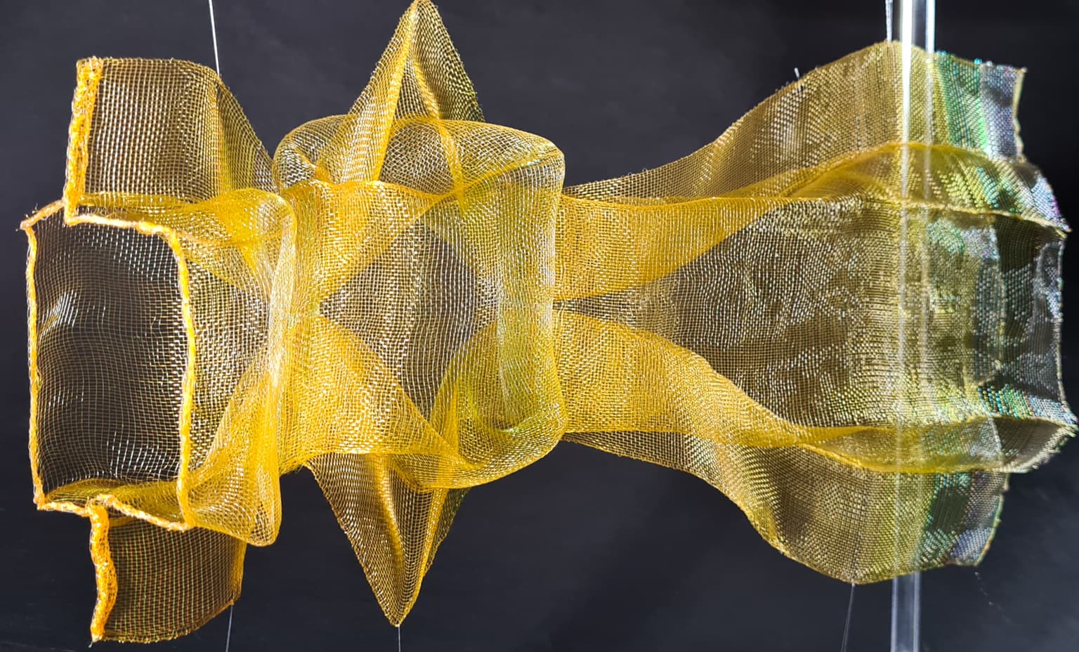 Image for entry 'Auxetic Morph'