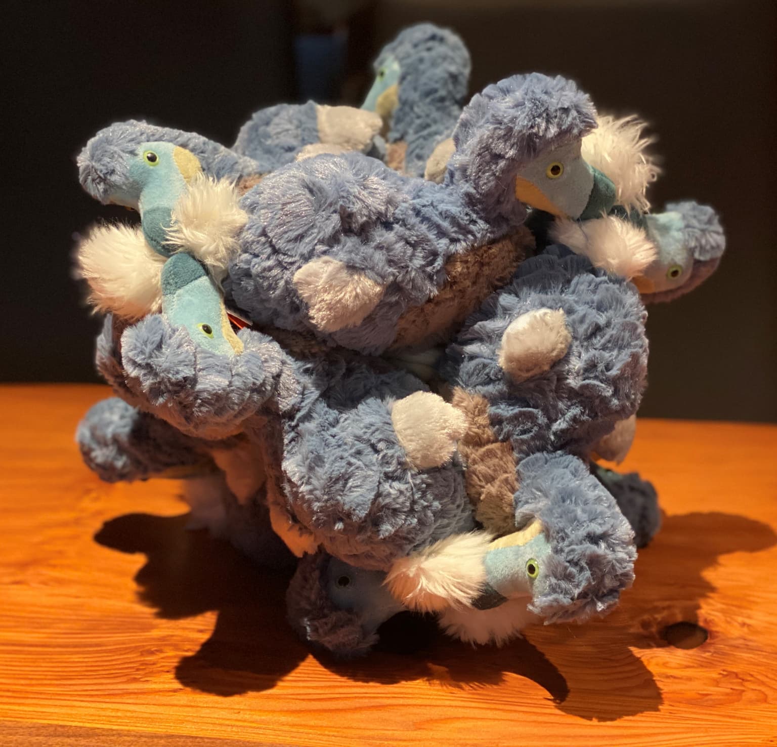Image for entry 'Dodocahedron'