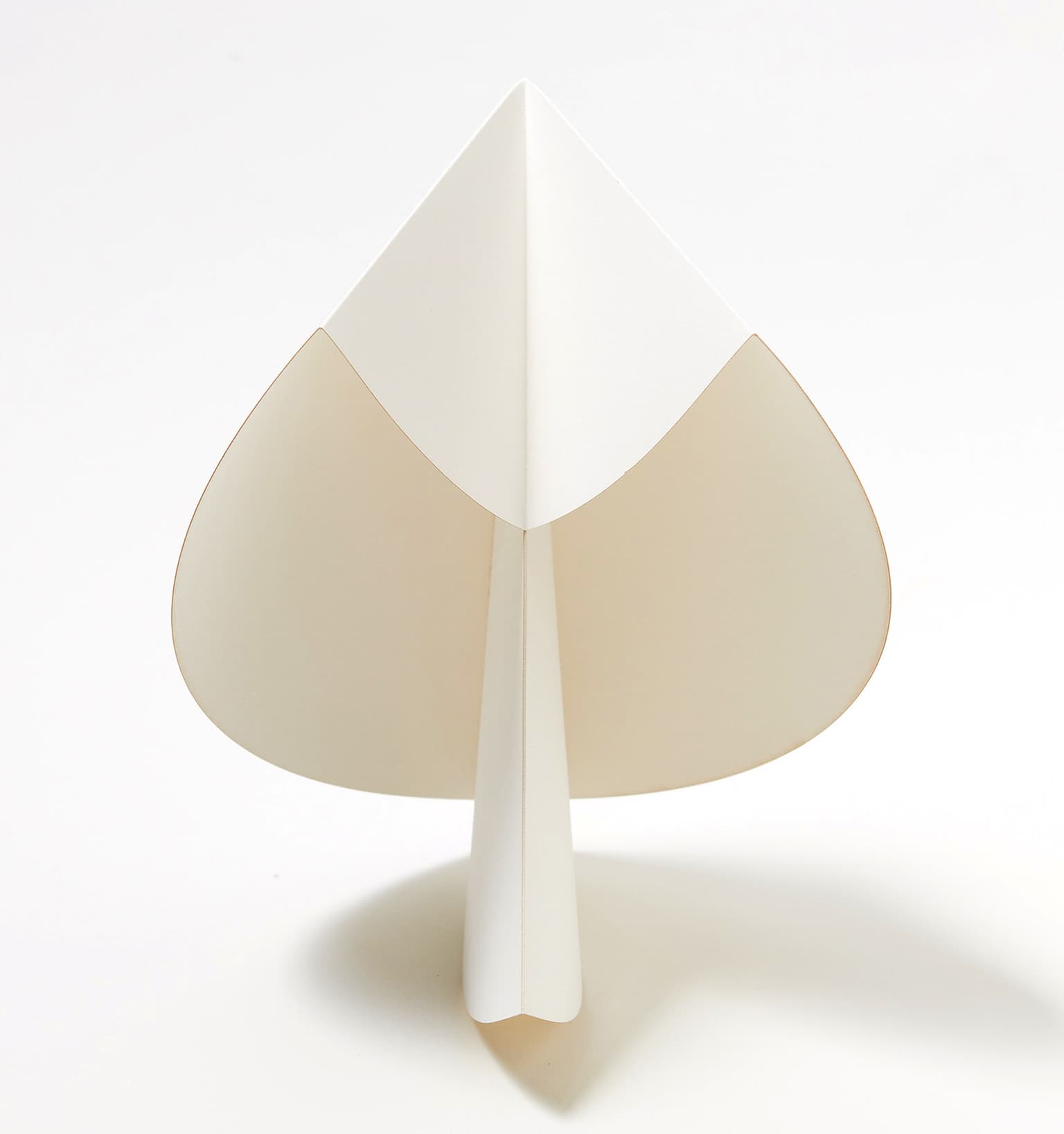 Image for entry 'Untitled'