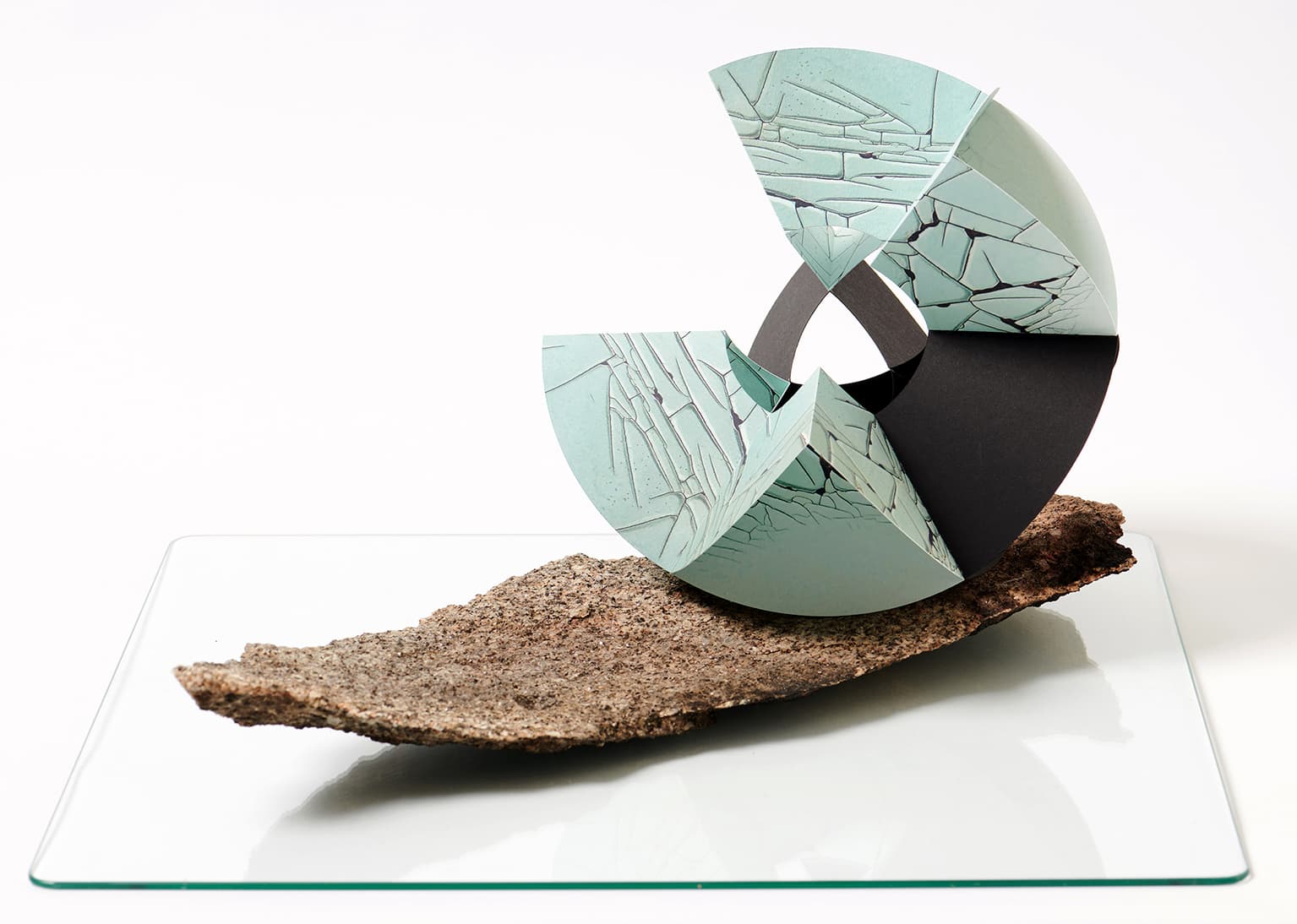 Image for entry 'Eucalyptus Pauciflora'