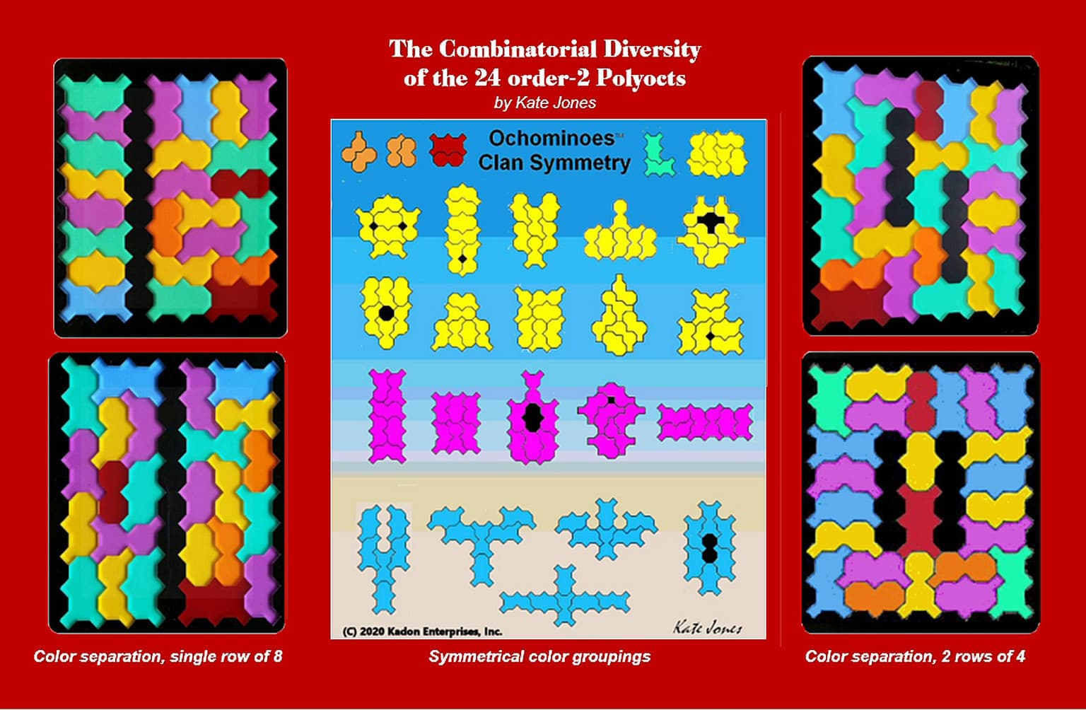 Image for The Combinatorial Diversity of the 24 order-2 Polyocts