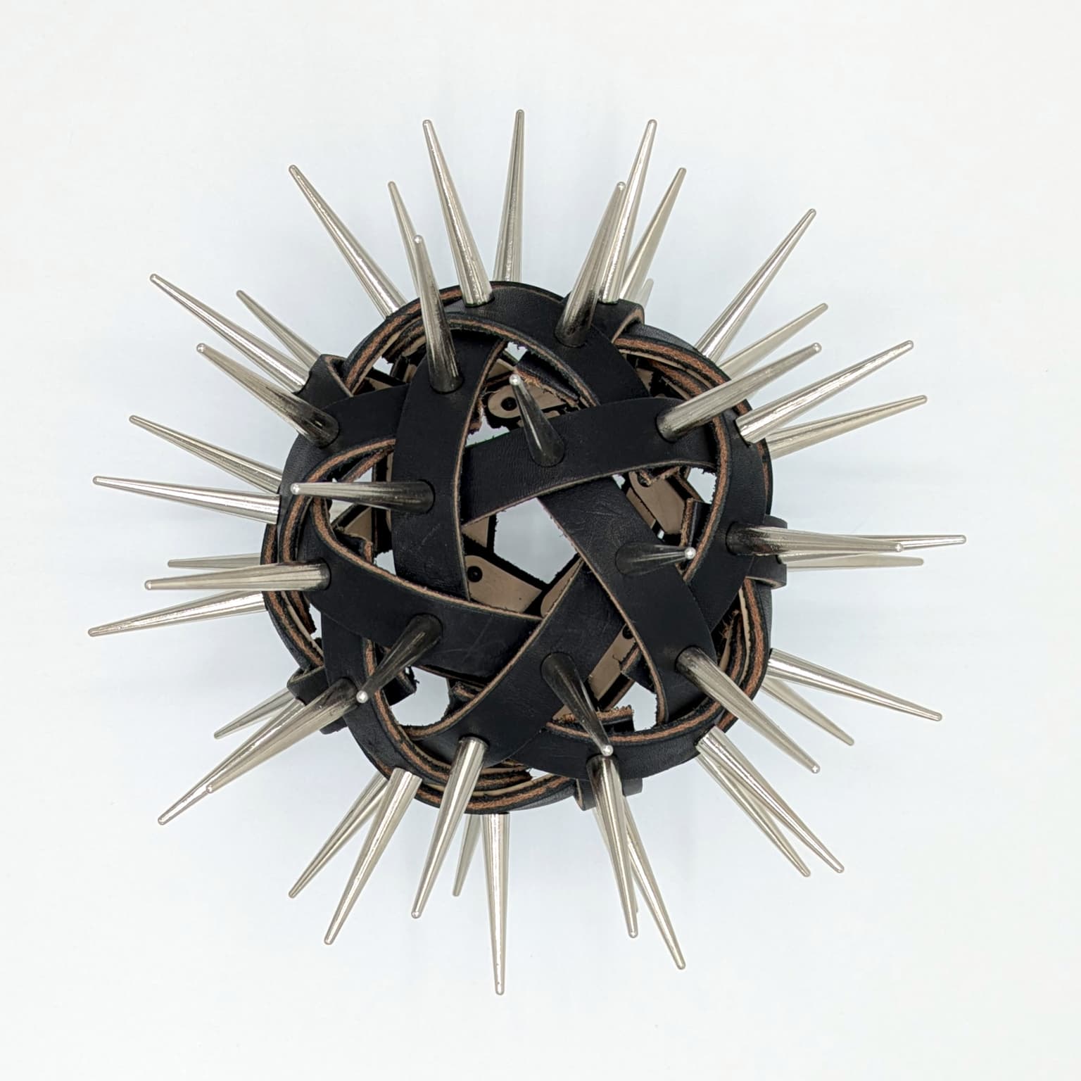 Image for submission 'David A. Reimann'