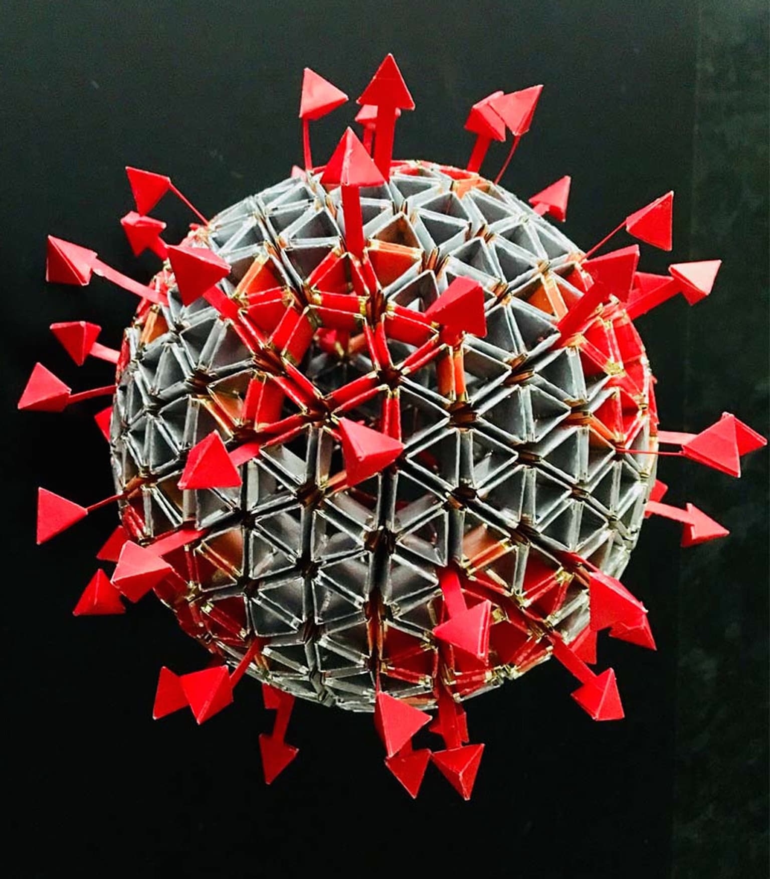 Image for entry 'Terrifying Beauty: The Coronavirus Molecule'