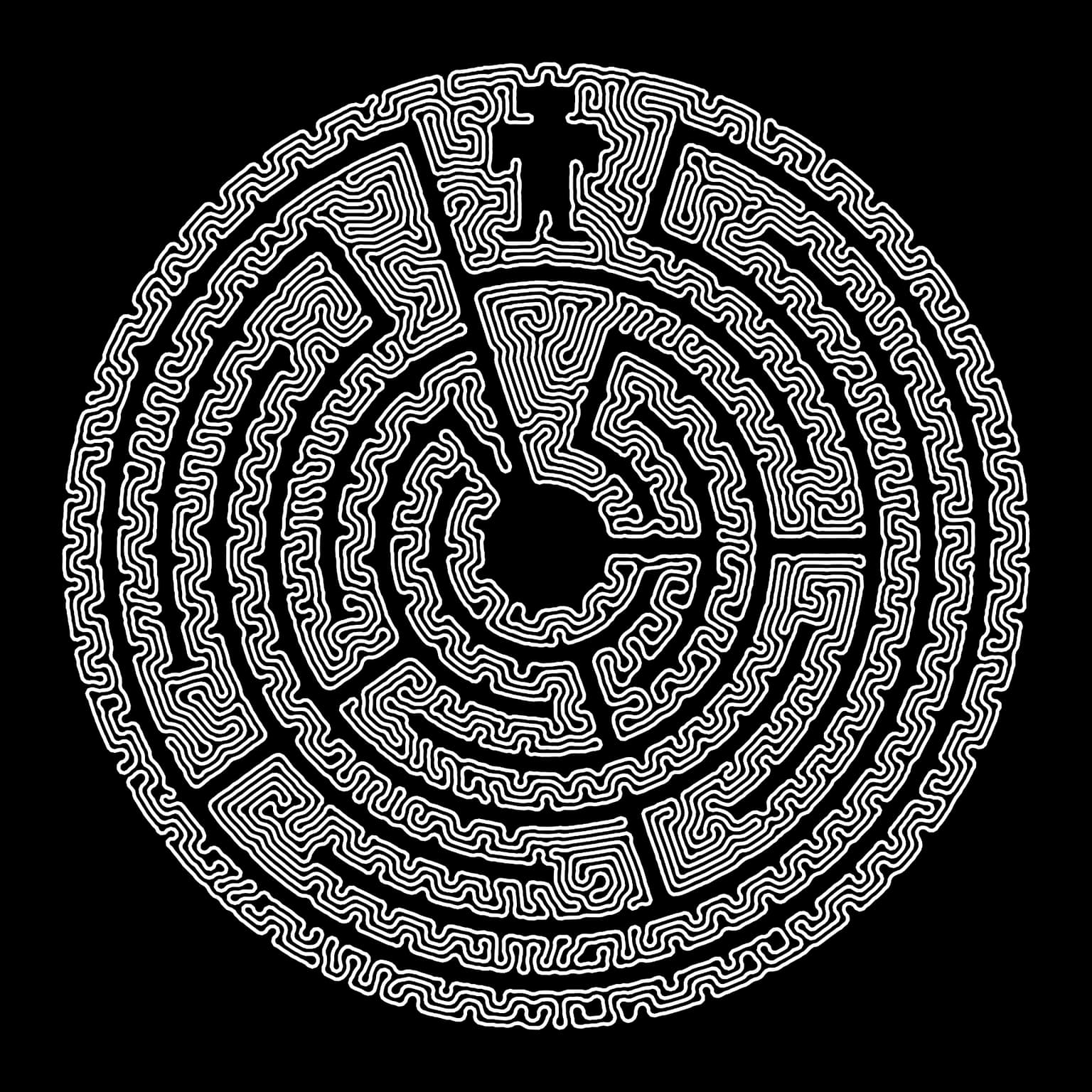 Image for entry 'Be the Maze'