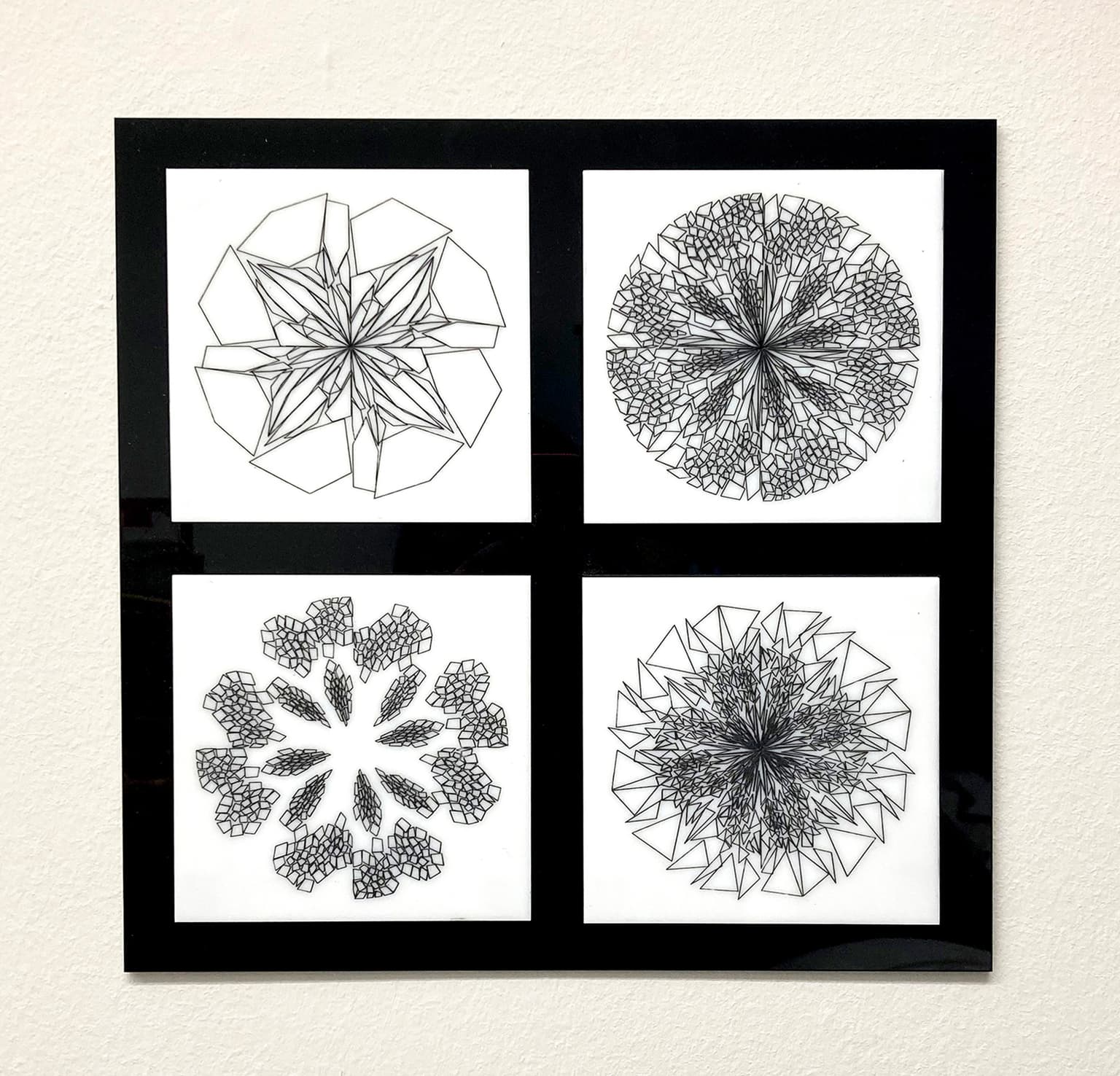 Image for entry 'Biomimetic Algorithms: Rattlesnake Orchids'