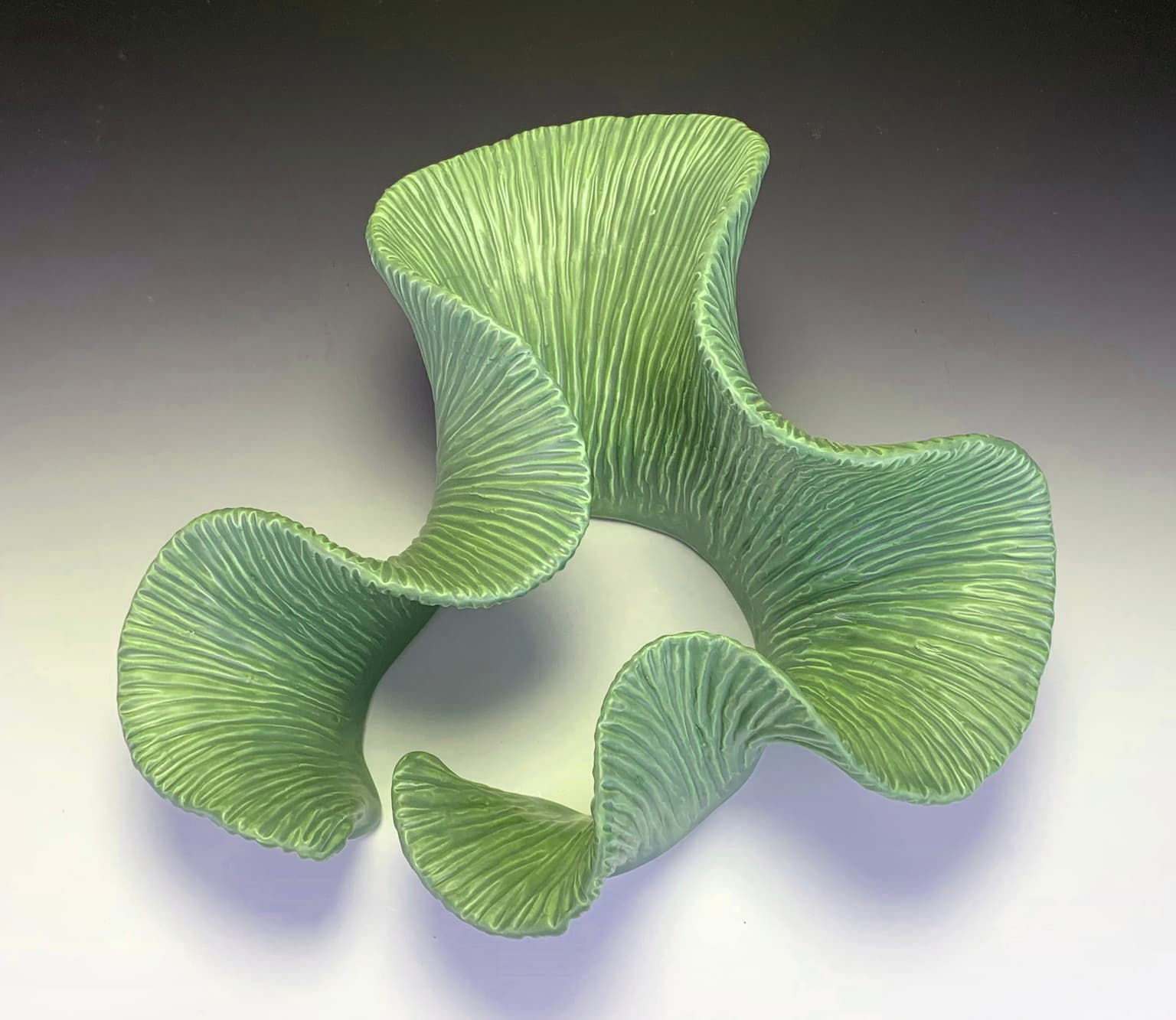 Image for entry 'Groovy Hyperbolic Form'