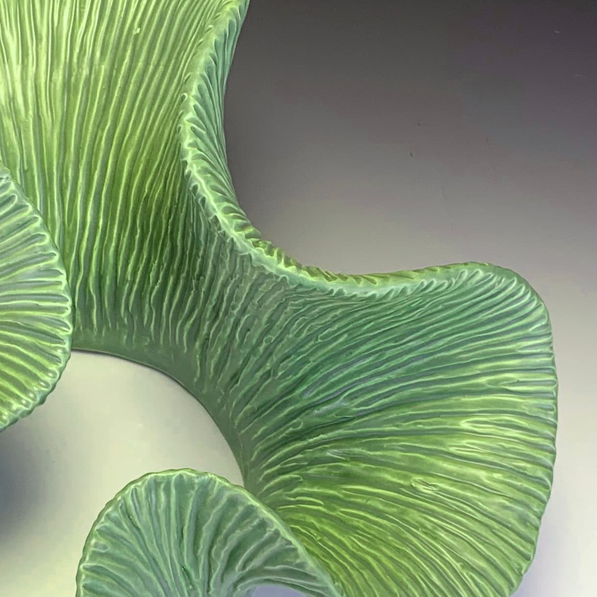 Image for submission 'Robert Fathauer'