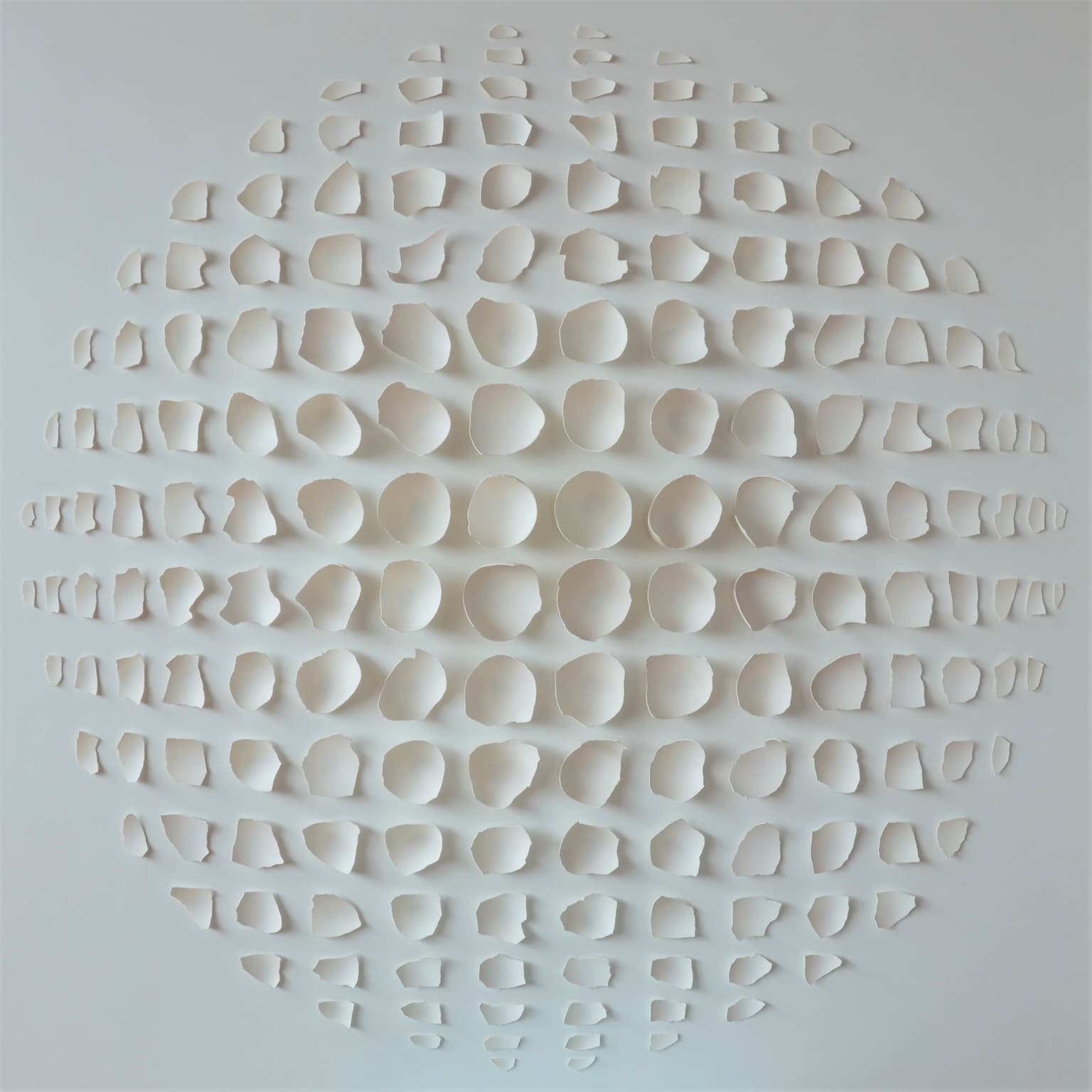 Image for entry 'Squircle 180'