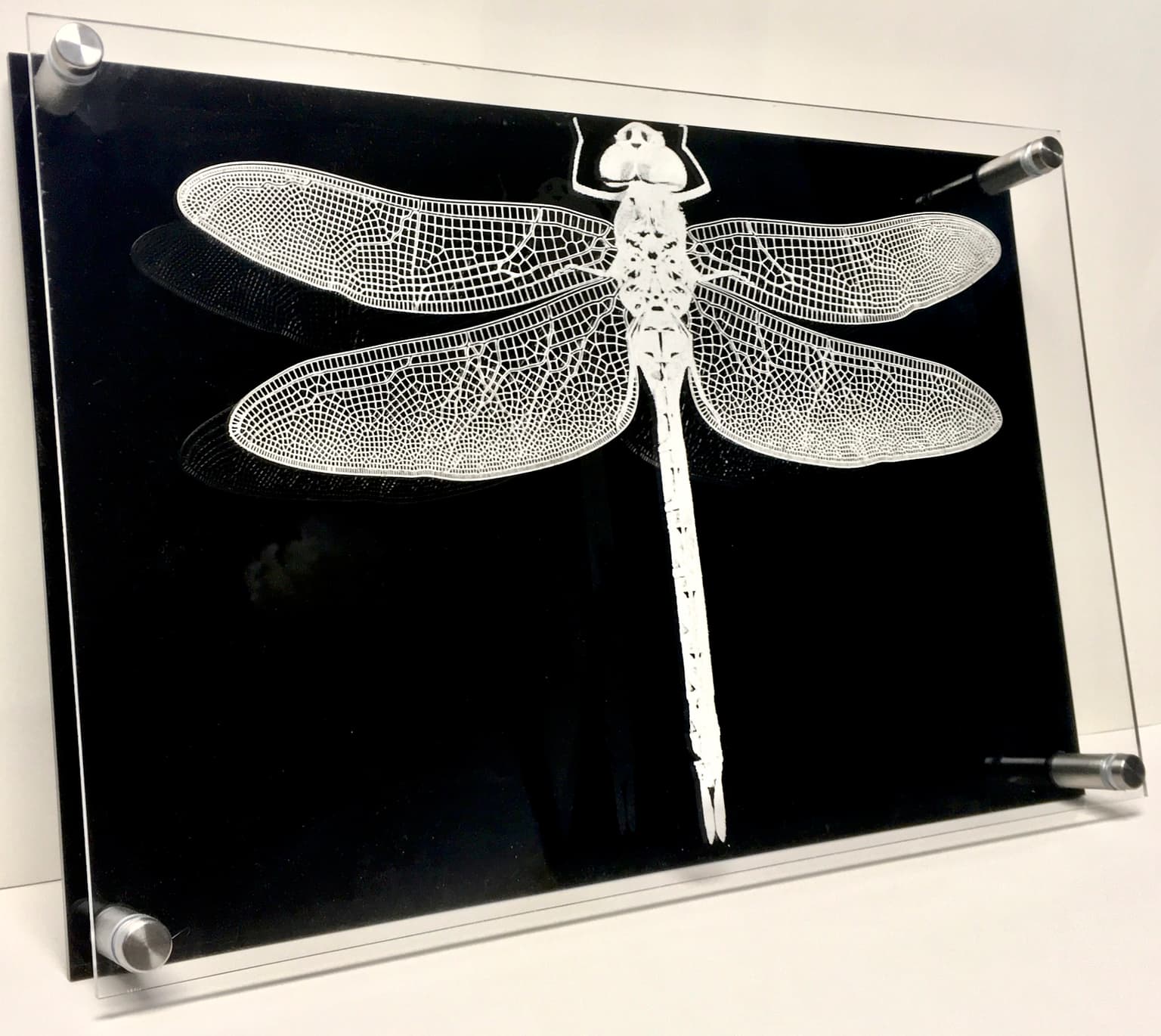 Image for entry 'Computational Wings'