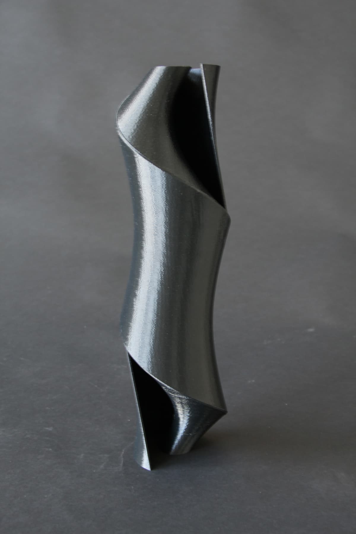 Image for entry 'Nested Helicoid Inside a Hyperboloid'