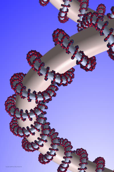 Image for submission 'Jeffrey Stewart Ely'