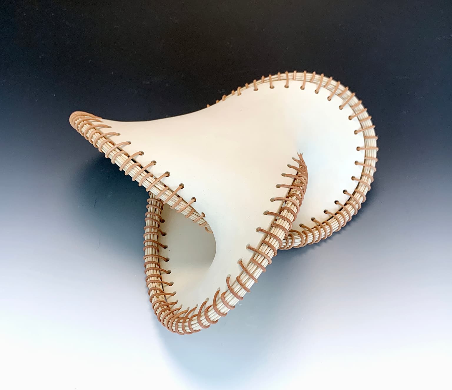 Image for entry 'Trefoil Knot with Seifert Surface'