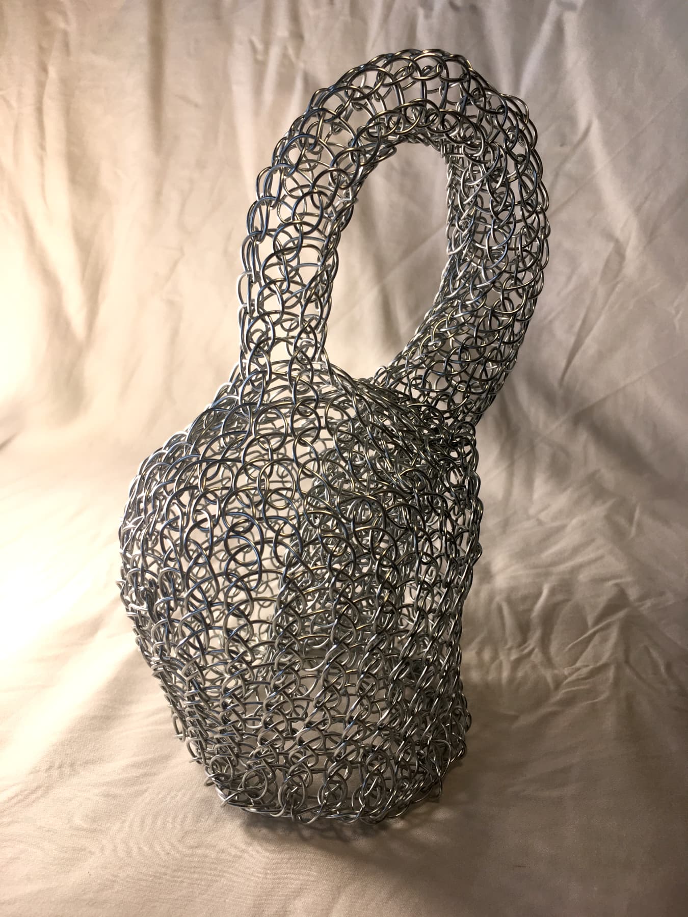 Image for entry 'Klein Bottle in Wire Loops'