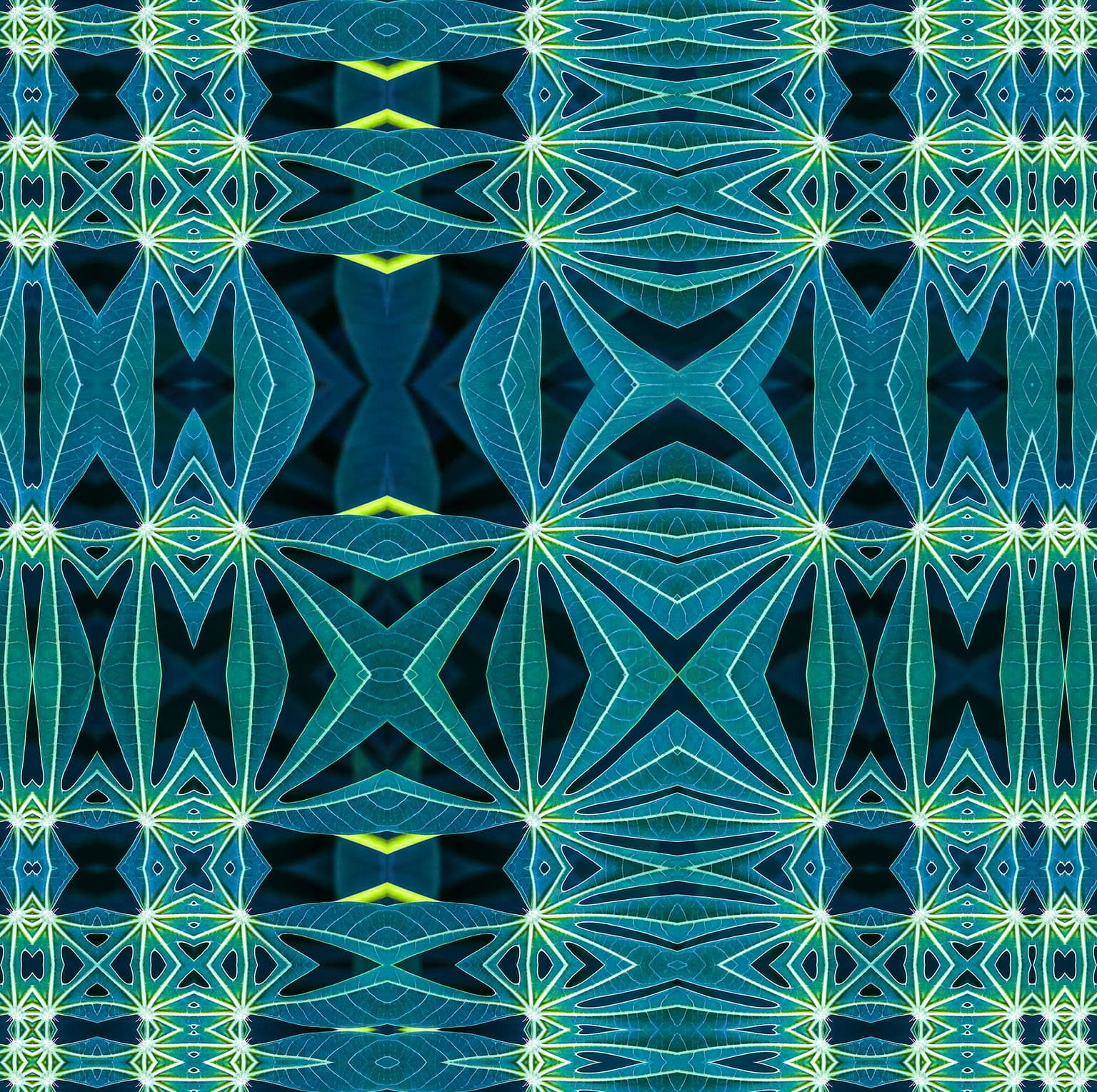 Image for Receding Squares of Leaf