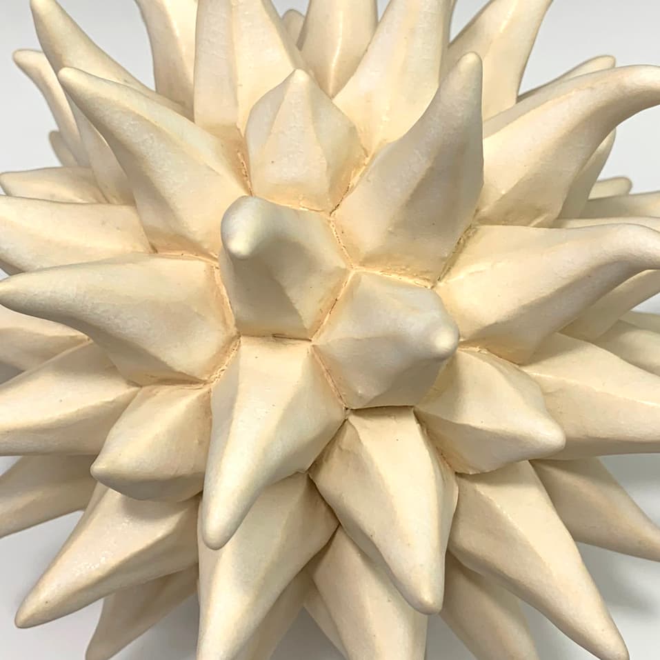 Image for submission 'Robert Fathauer'