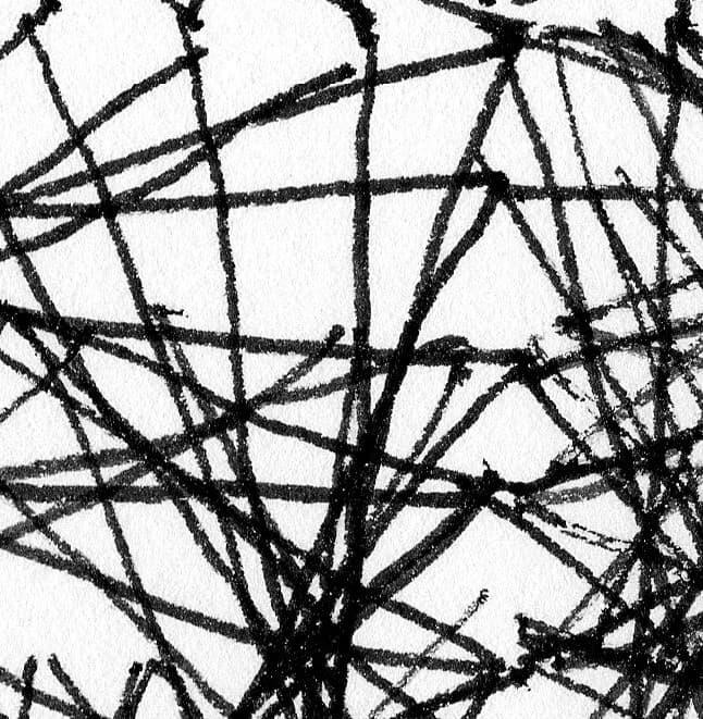 Image for submission 'Susan Happersett'