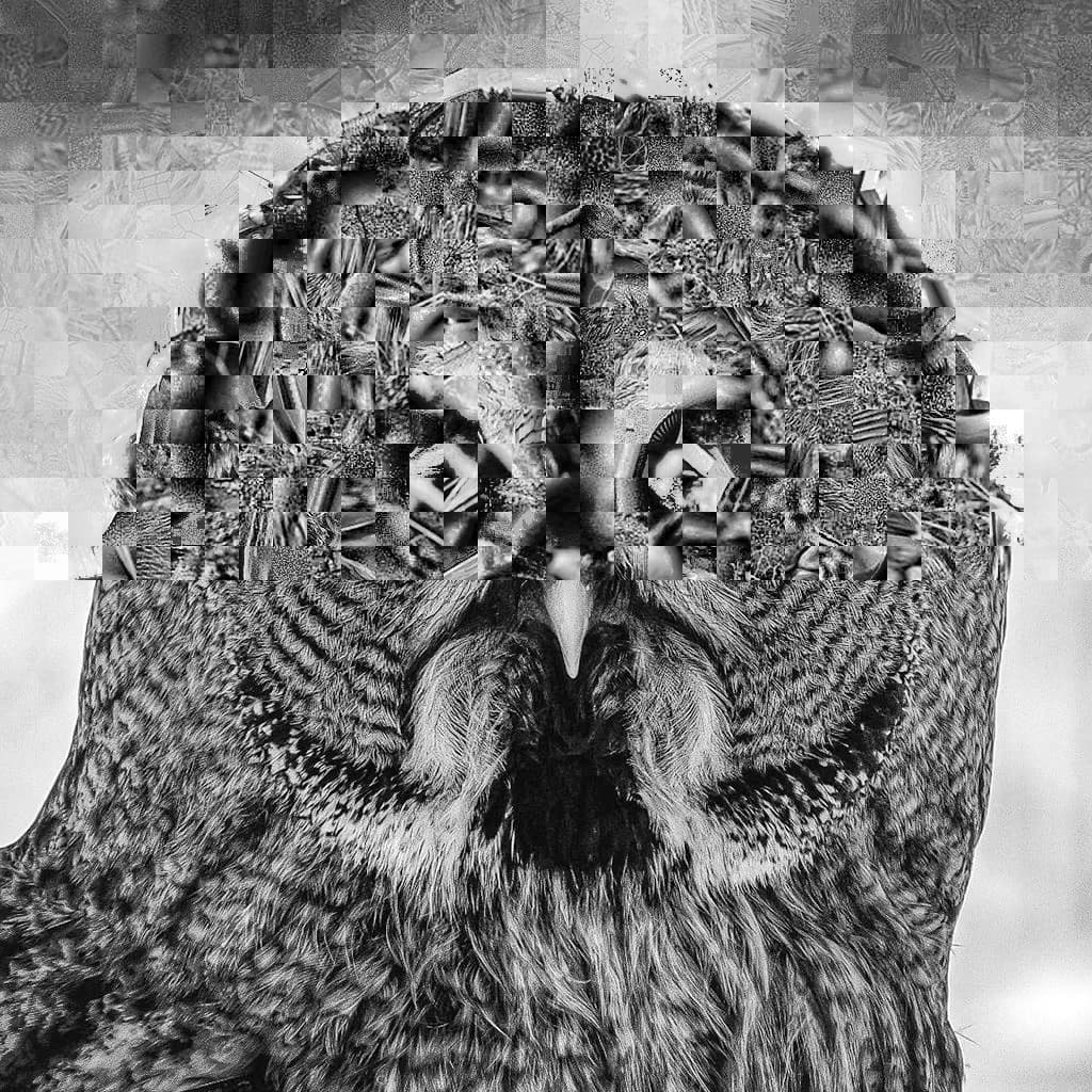 Image for entry 'Patch As Patch Can'