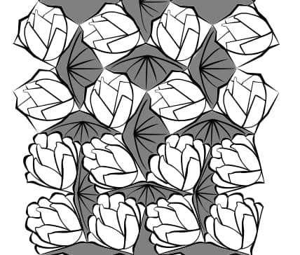 Image for submission 'Aiman Soliman'