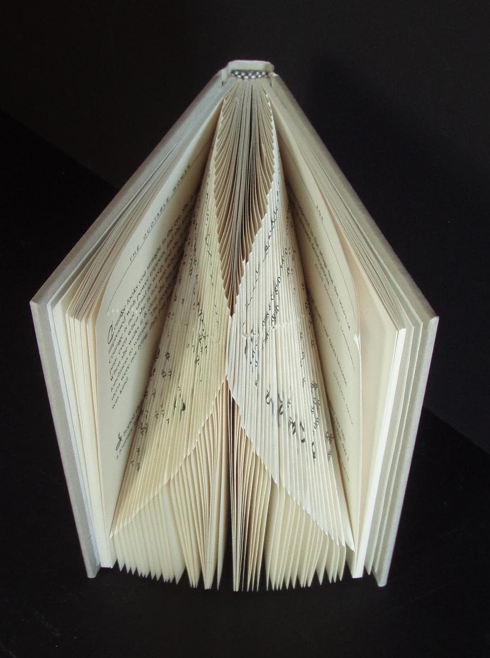 Image for submission 'Sharol Nau'