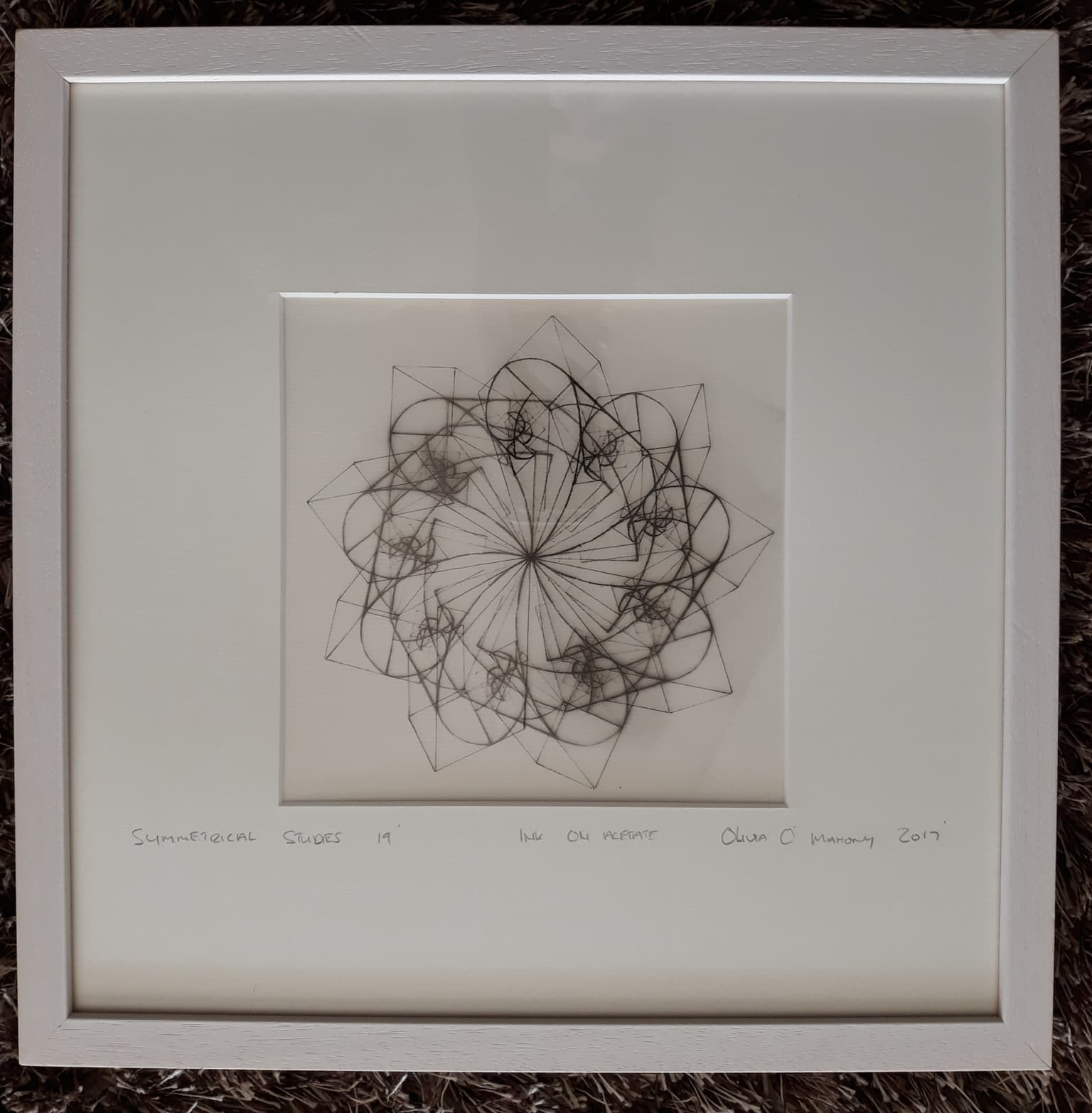 Image for entry 'Symmetrical Studies 19'