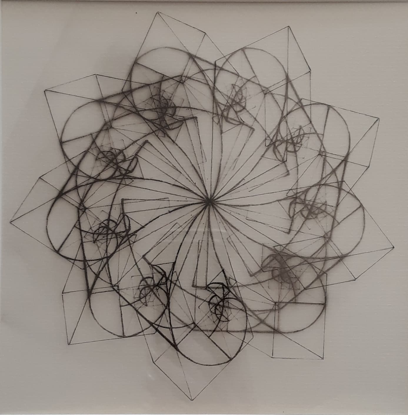 Image for submission 'Olivia Bridget  O'Mahony'