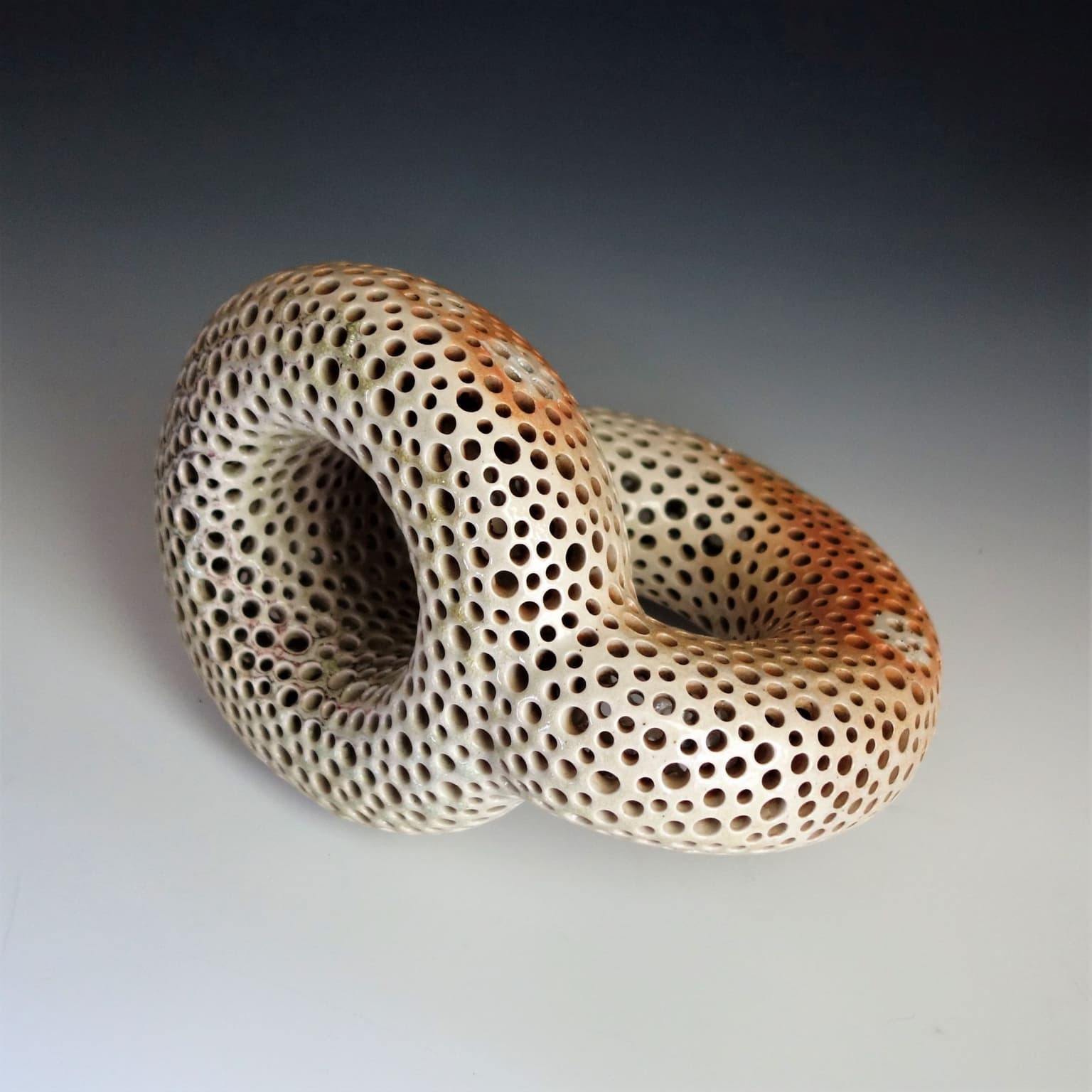 Image for entry 'DT-MSH/TC Klein Bottle'