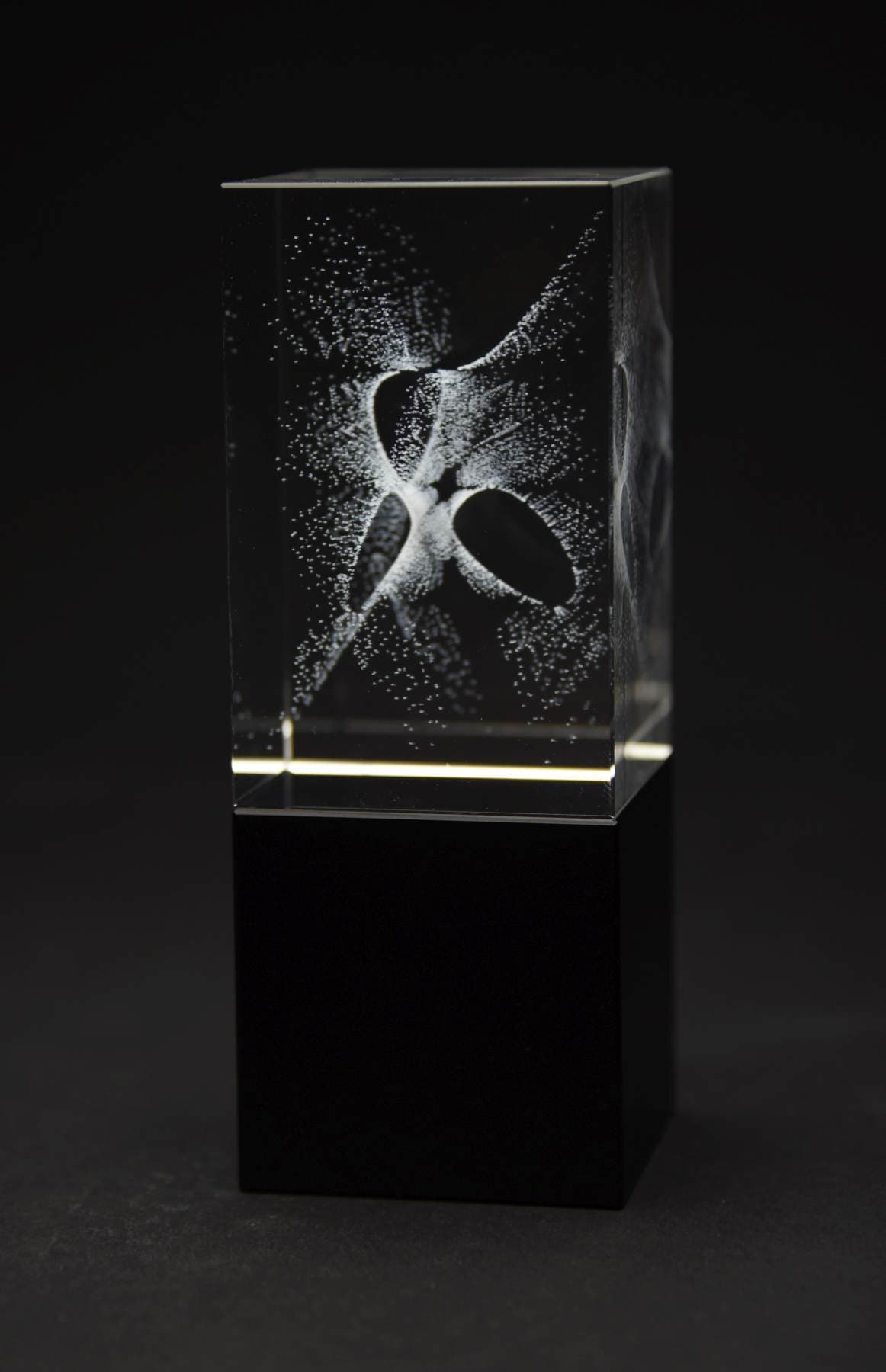 Image for Rational points on Clebsch's Cubic