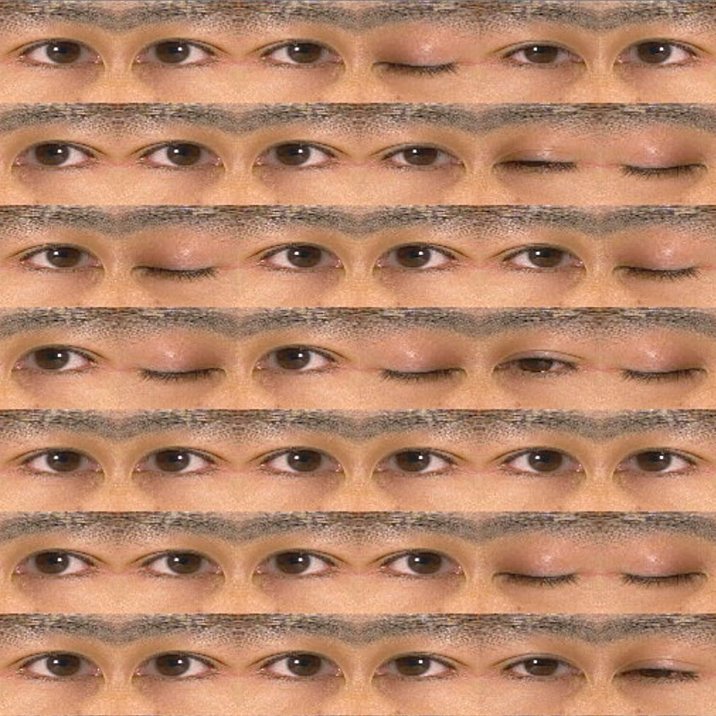 Image for submission 'George Legrady'