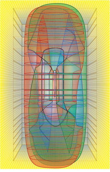 Image for submission 'Scott Carter'