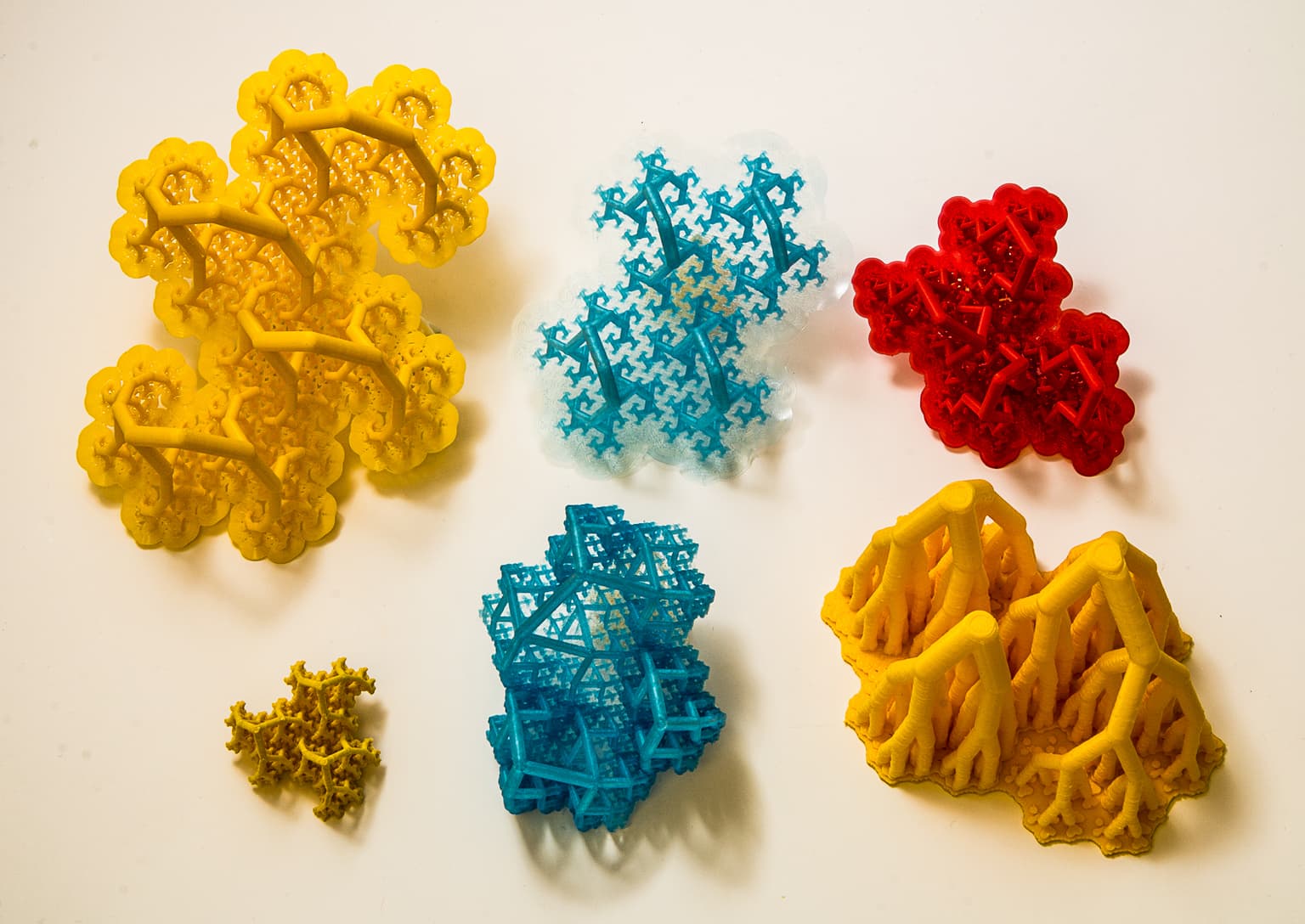 Image for entry 'Arboretum of 3D-Printed Complex Trees'