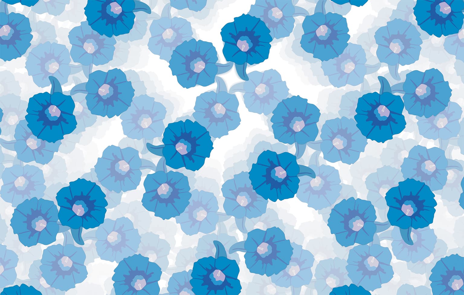 Image for entry 'Morning Glory (4_1*: 2)'