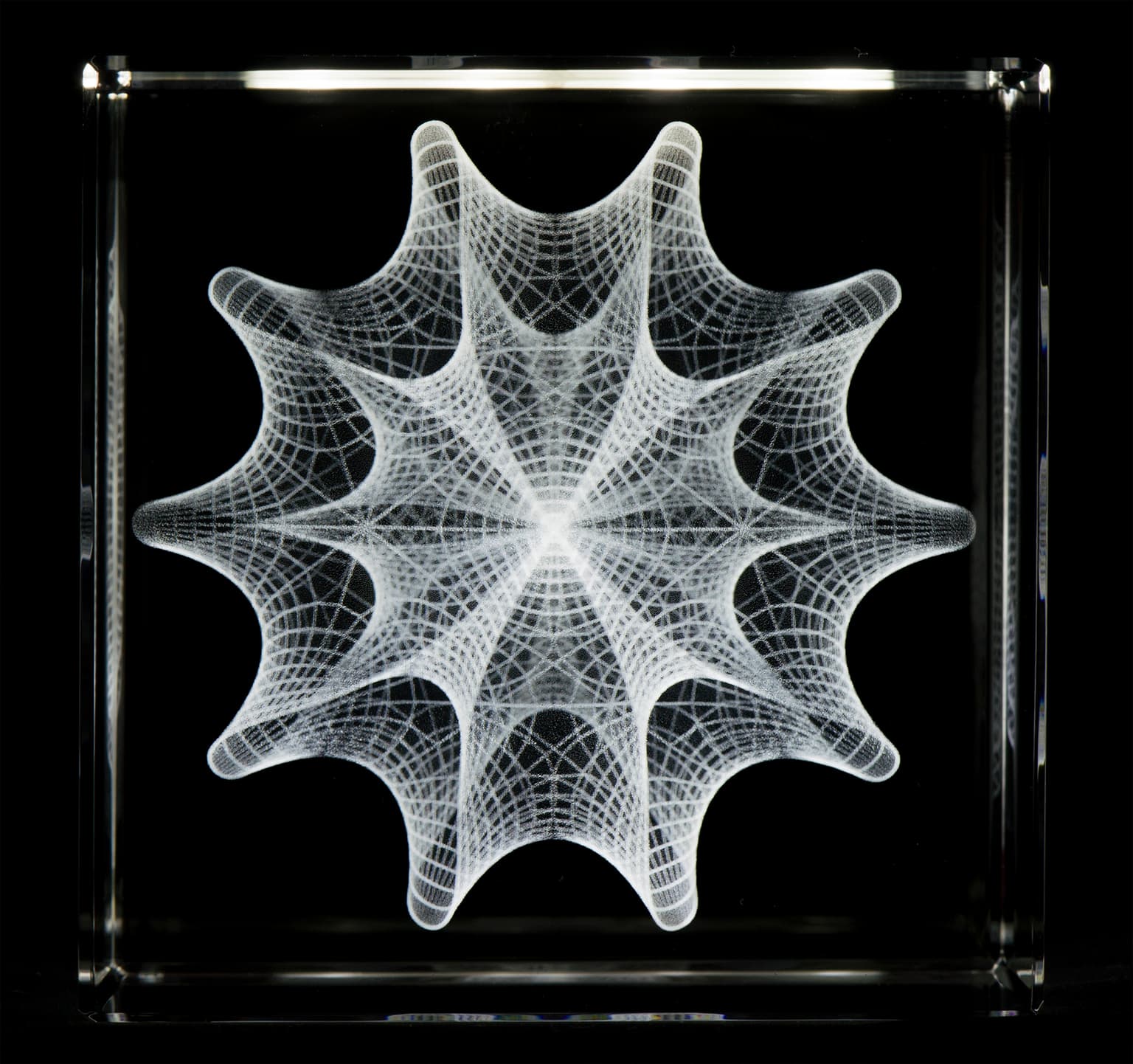Image for entry 'Calabi-Yau Manifold'