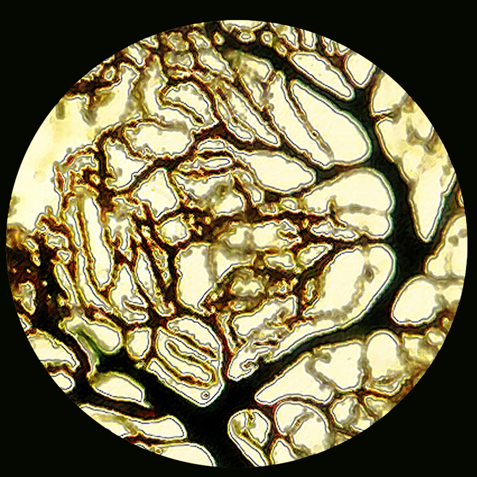 Image for submission 'Zsuzsa Dárdai'