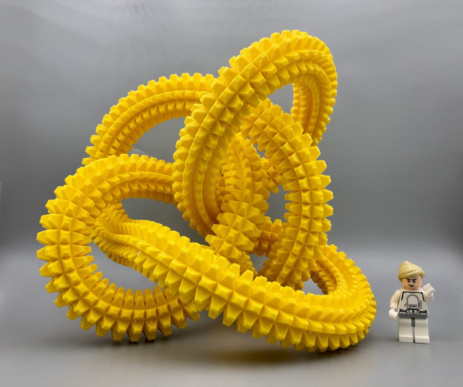 Image for Spiky Perko Knot
